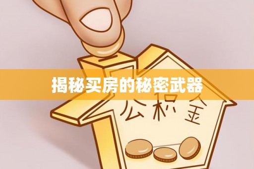 居民揭秘买房的秘密武器