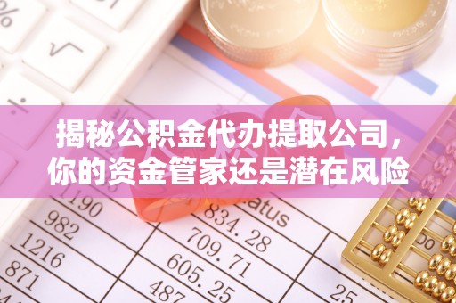 居民揭秘公积金代办提取公司，你的资金管家还是潜在风险？