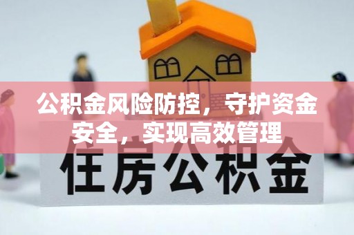 居民公积金风险防控，守护资金安全，实现高效管理